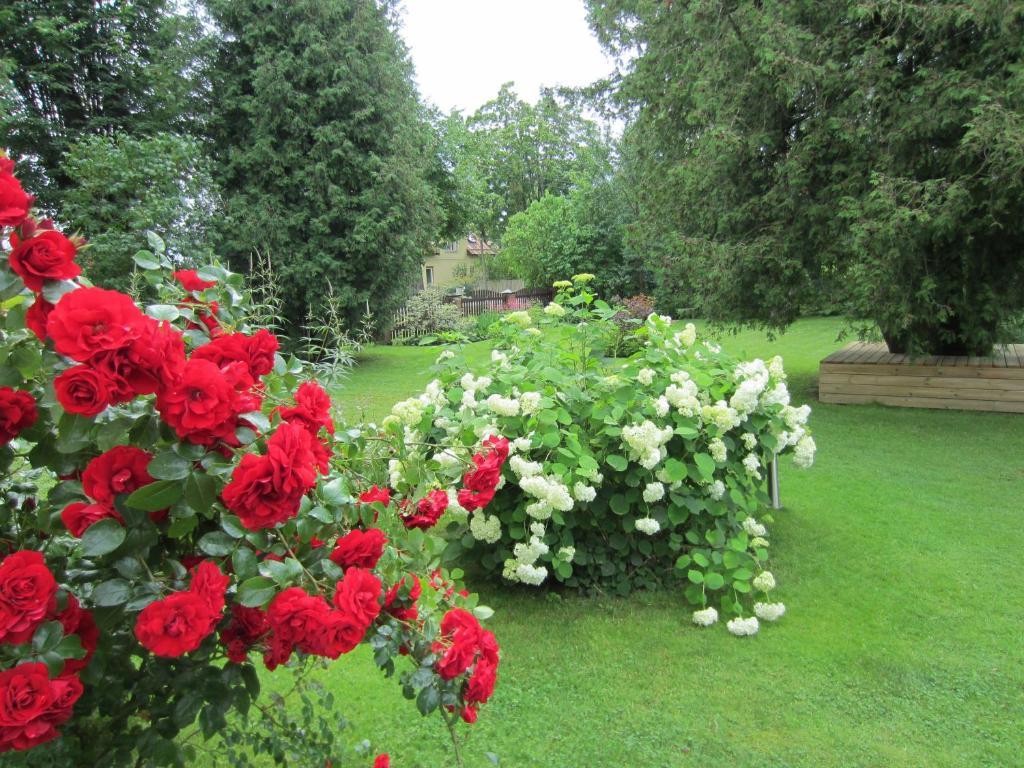 Livonija Hotel Sigulda Buitenkant foto
